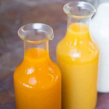 Hotel Kaya Stuttgart Airport Messe Filderstadt