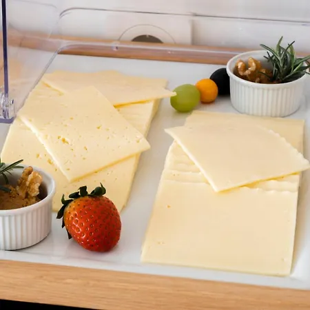 Kaya Stuttgart Airport Messe 4*