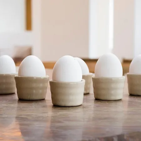 Hotel Kaya Stuttgart Airport Messe 4*