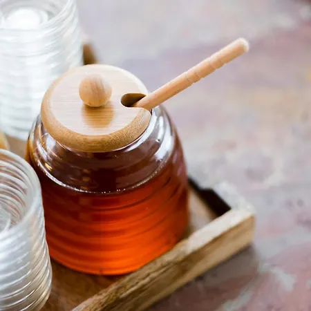 Kaya Stuttgart Airport Messe Hotel 4*